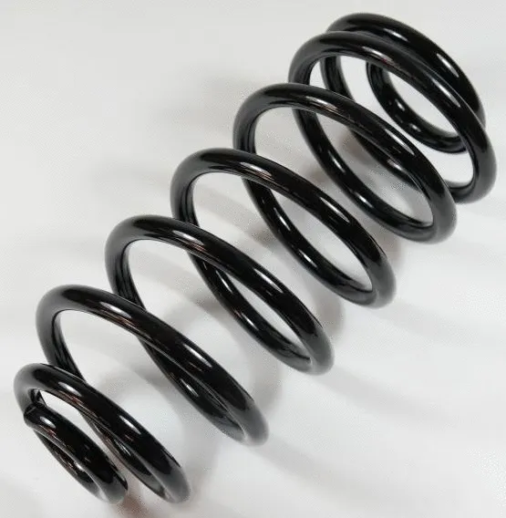 Suspension Spring (58808)