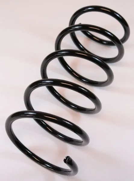 Suspension Spring (66737)