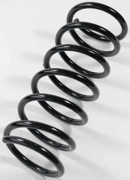 Suspension Spring (63102)