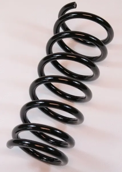 Suspension Spring (62902)