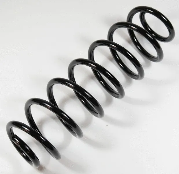 Suspension Spring (63925)