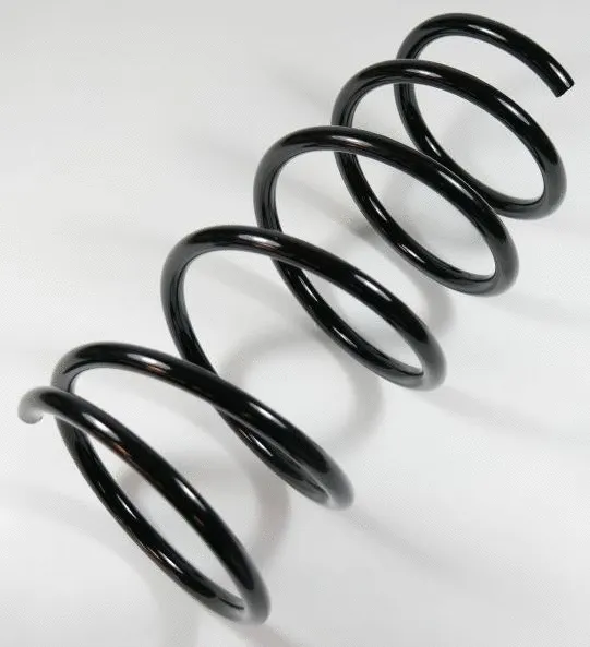 Suspension Spring (63871)