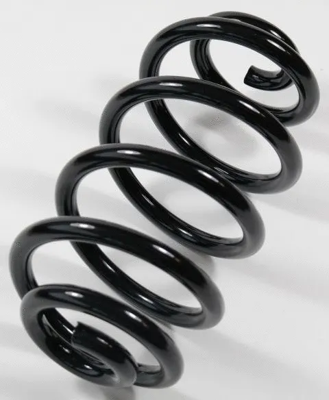 Suspension Spring (58815)