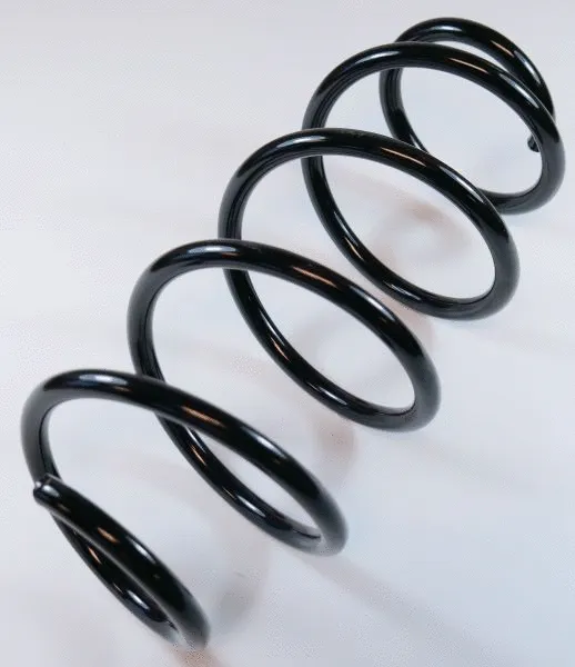 Suspension Spring (63257)