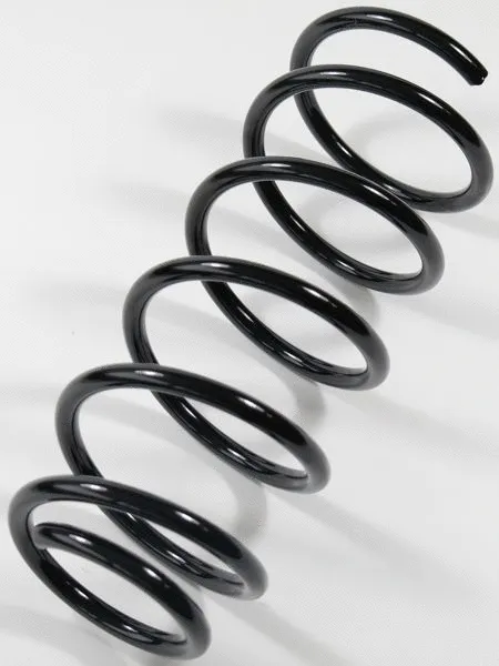 Suspension Spring (66793)