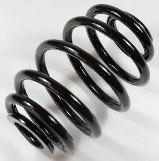 Suspension Spring (63093)