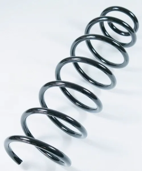 Suspension Spring (58711)