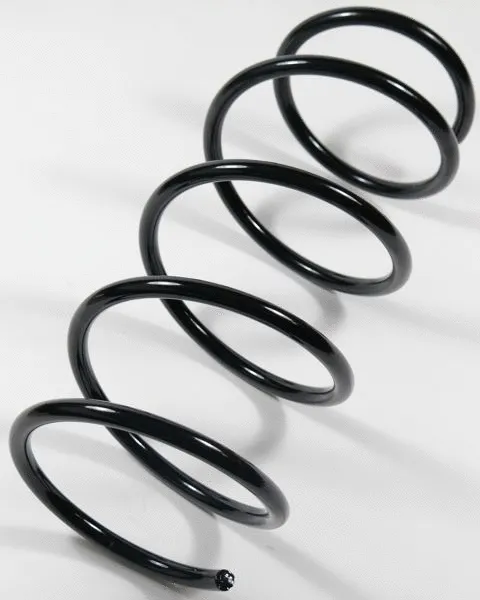 Suspension Spring (66877)