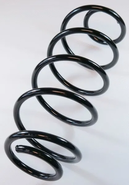 Suspension Spring (66671)
