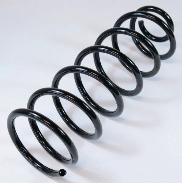 Suspension Spring (66690)