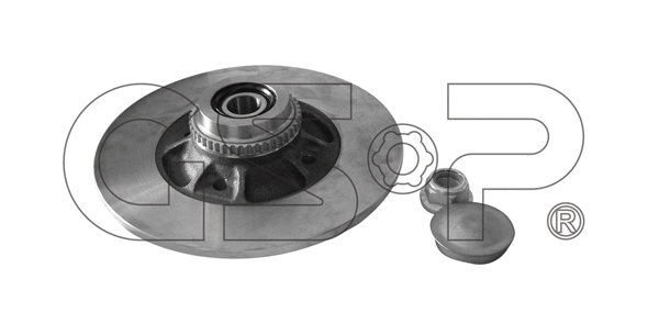 Brake Disc (9225039K)
