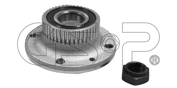 Wheel Bearing Kit (9230090K)