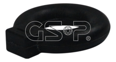 Mount, exhaust system (510021)