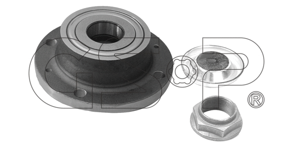 Wheel Bearing Kit (9232032K)