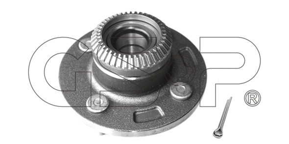 Wheel Bearing Kit (9227018K)
