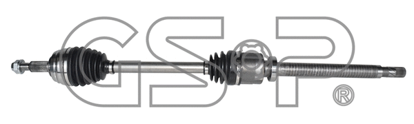 Drive Shaft (250604)