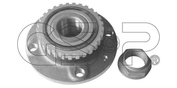 Wheel Bearing Kit (9232013K)