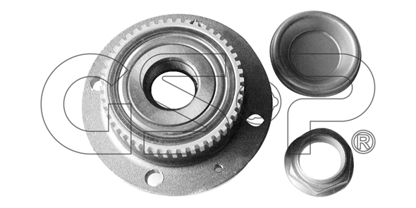 Wheel Bearing Kit (9232028K)