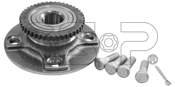 Wheel Bearing Kit (9230163K)