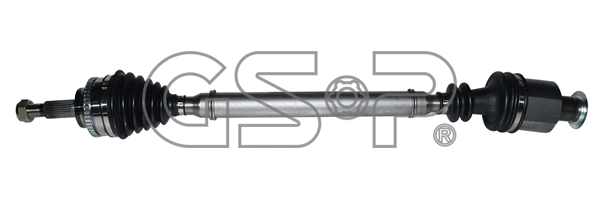 Drive Shaft (250323)