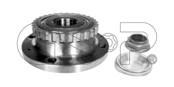 Wheel Bearing Kit (9232012K)