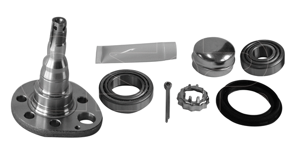 Steering Knuckle, wheel suspension (9499046K)