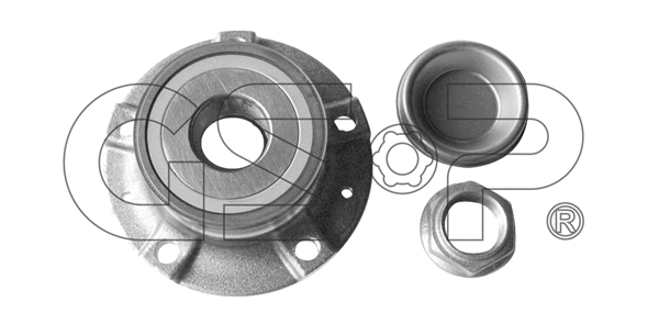 Wheel Bearing Kit (9232031K)