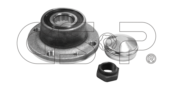 Wheel Bearing Kit (9230044K)