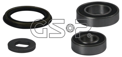 Repair Kit, steering knuckle (516868S)
