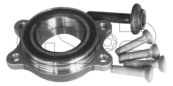 Wheel Bearing Kit (9262001K)