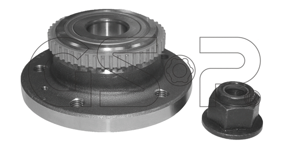 Wheel Bearing Kit (9230109K)