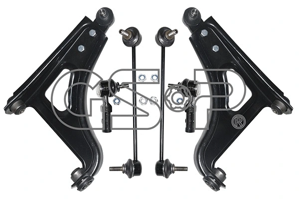 Repair Kit, control arm (S990023SK)