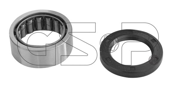 Wheel Bearing Kit (GK1905)