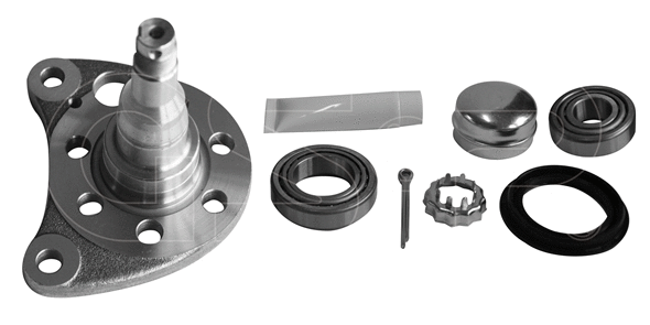 Steering Knuckle, wheel suspension (9499015K)