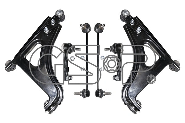 Repair Kit, control arm (S990057SK)