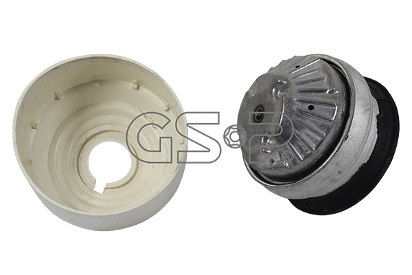 Mounting, engine (510549)
