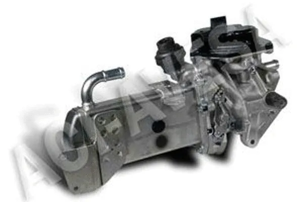 EGR Valve (AEGR-938)