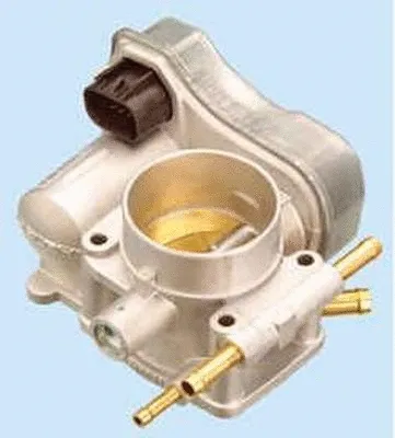 Throttle Body (ACM-043)