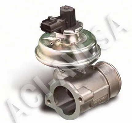 EGR Valve (AEGR-619)
