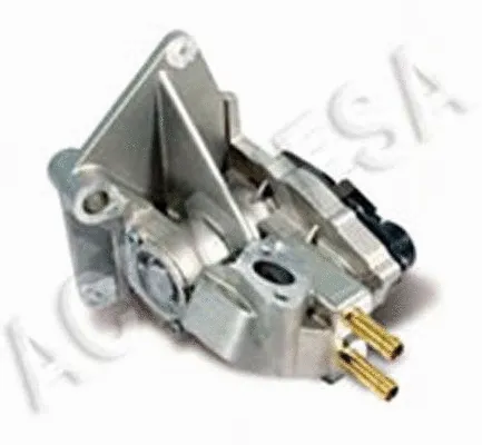 EGR Valve (AEGR-721)