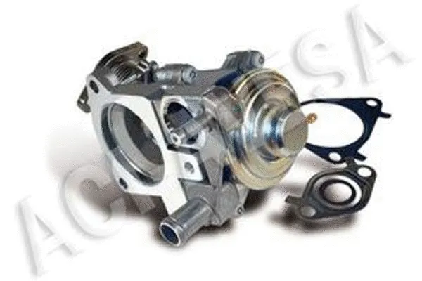 EGR Valve (AEGR-929)