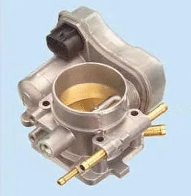 Throttle Body (ACM-025)