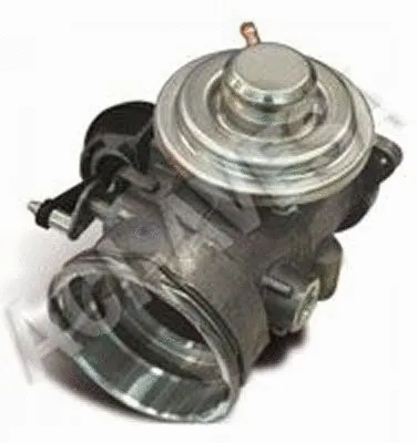 EGR Valve (AEGR-815)