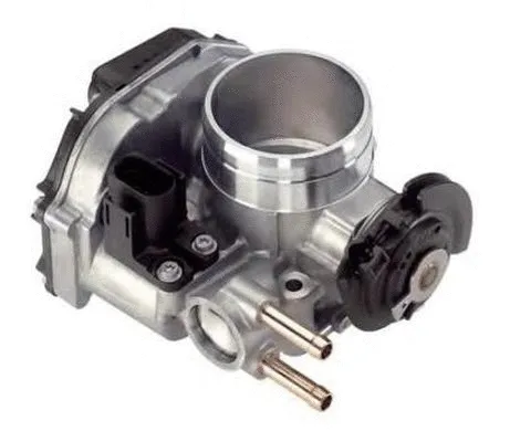Throttle Body (ACM-066)