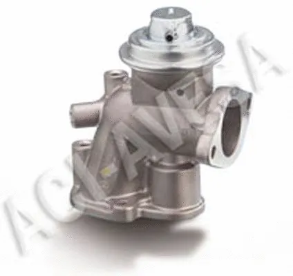 EGR Valve (AEGR-731)