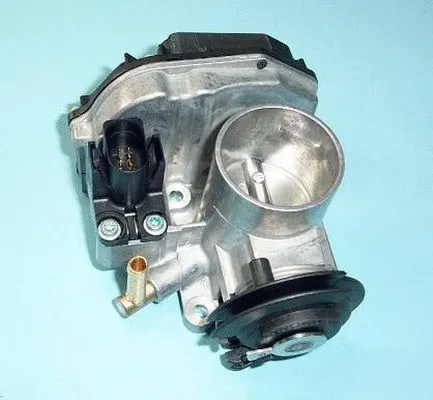 Throttle Body (ACM-002)