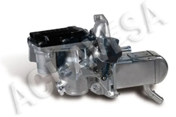 EGR Valve (AEGR-922)