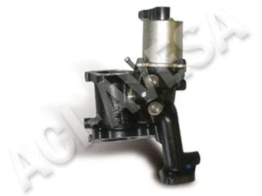 EGR Valve (AEGR-917)