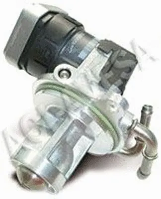 EGR Valve (AEGR-807)