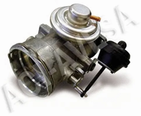 EGR Valve (AEGR-813)